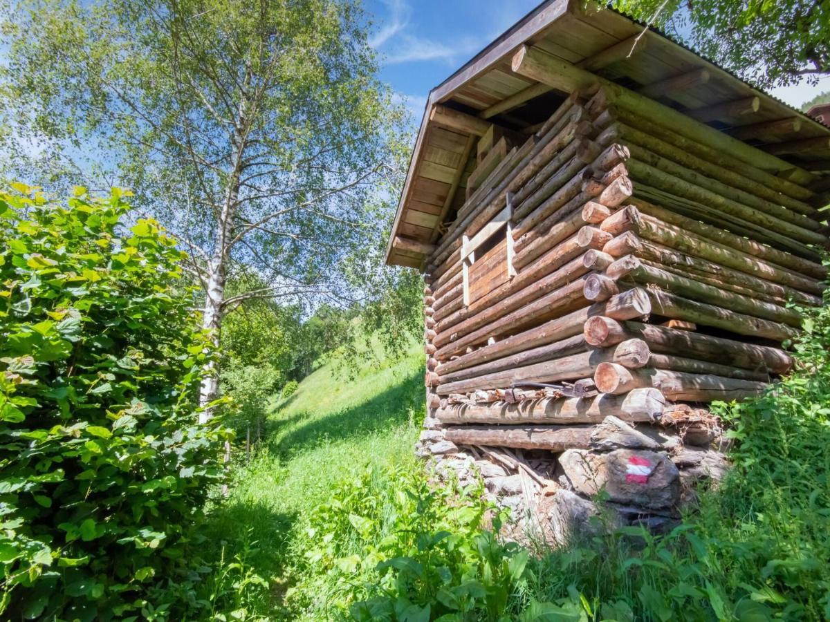 Cosy Holiday Home At The Wildkogel Bramberg am Wildkogel Exterior foto